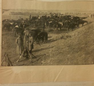 NdG Vol 2 janvier à juin 1915 (102)