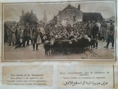 NdG Vol 2 janvier à juin 1915 (211)