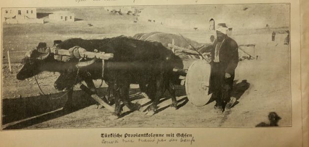 NdG Vol 2 janvier à juin 1915 (30)