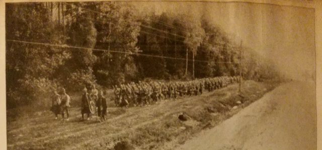 NdG Vol 2 janvier à juin 1915 (342)