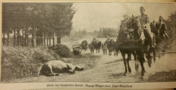NdG Vol 2 janvier à juin 1915 (36)