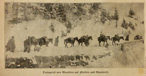 NdG Vol 2 janvier à juin 1915 (64)